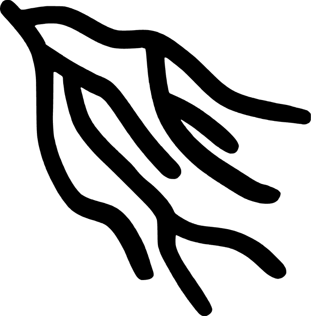 Ife Collective